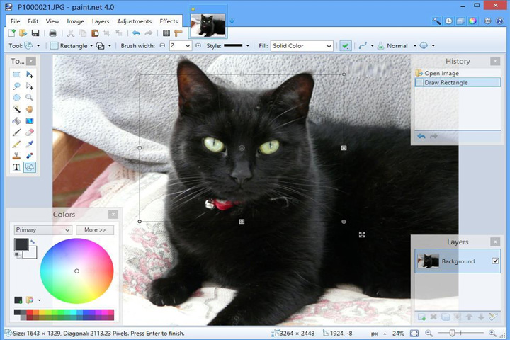 Paint NET 5.0.11 Captura