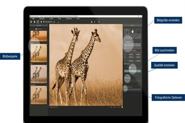 Franzis ZOOM 2 Professional 2.23.03871 Captura