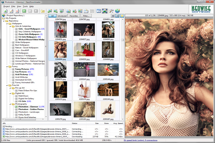 NeoDownloader 4.1 Build 274 Captura