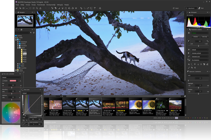 SILKYPIX Developer Studio Pro for FUJIFILM 11.4.10.0 Captura