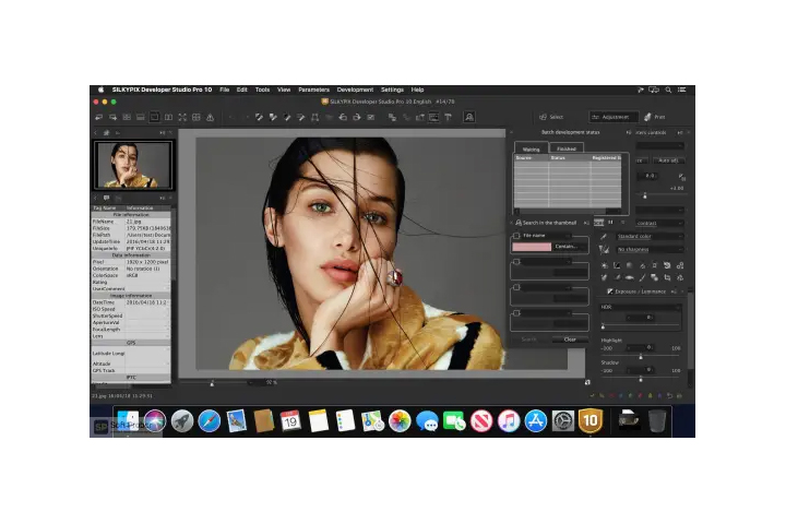 SILKYPIX Developer Studio Pro for Panasonic 11.3.10.0 Captura
