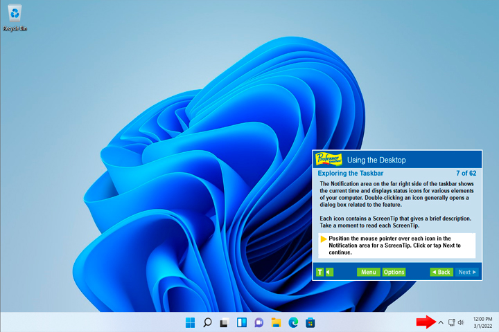Professor Teaches Office 2021 Windows 11 1.0 Screen