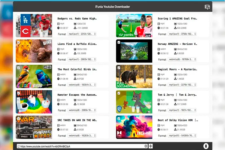 iFunia YouTube Downloader 2.1.0 Screen