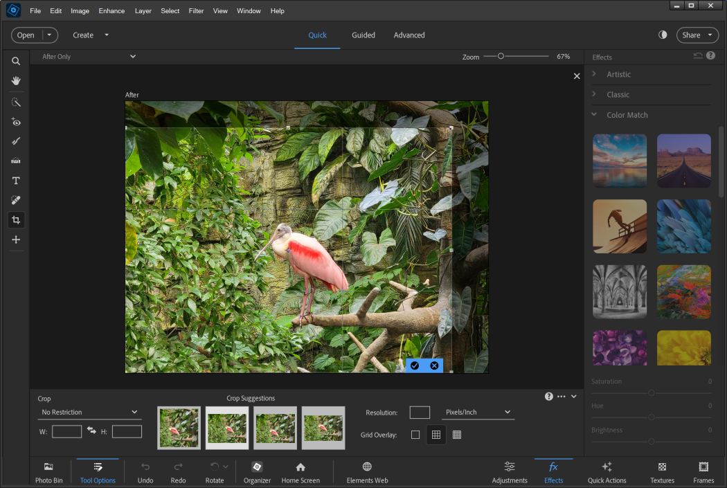 Captura Adobe Photoshop Elements 1