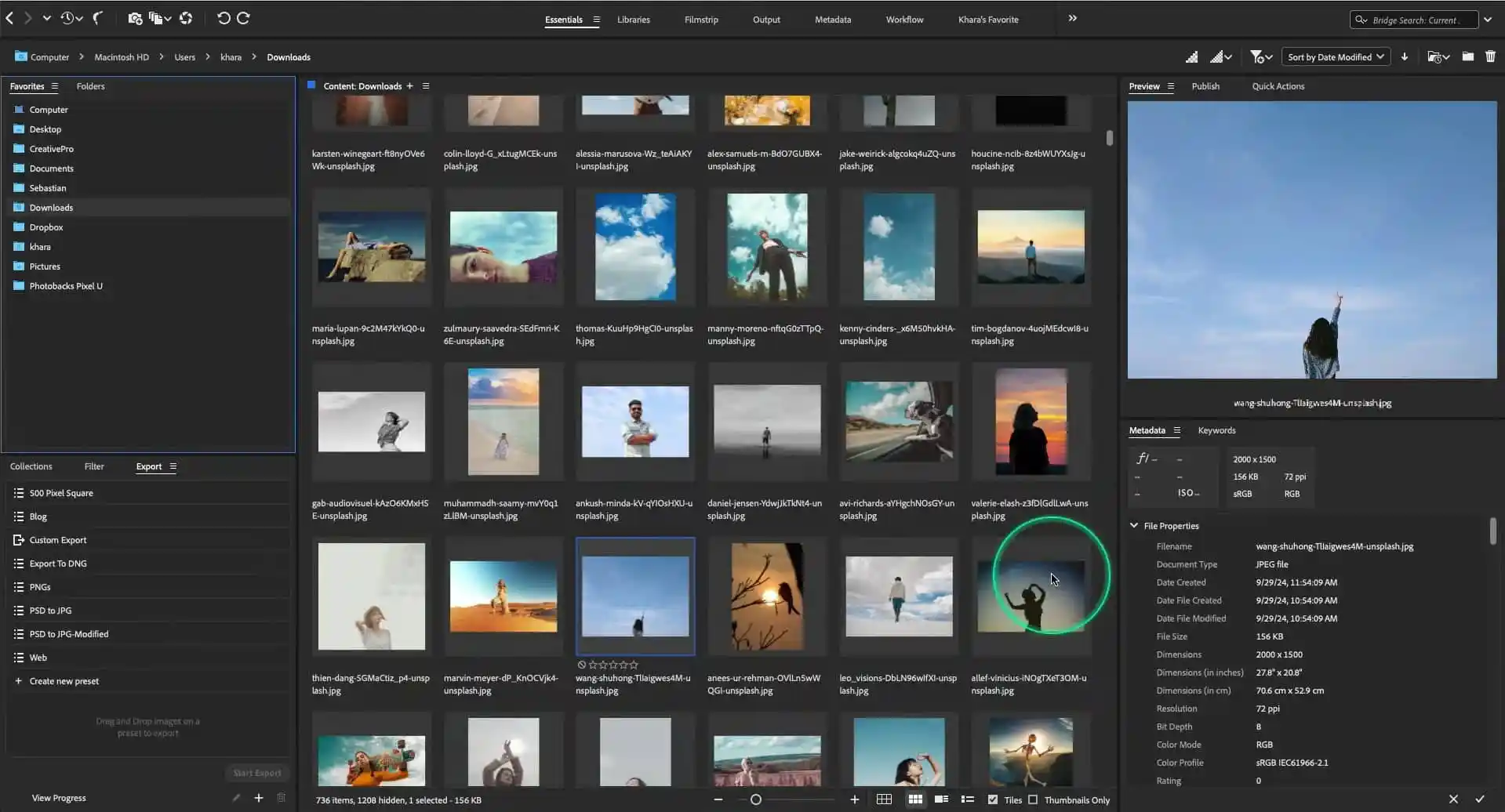 Captura Adobe Bridge 1