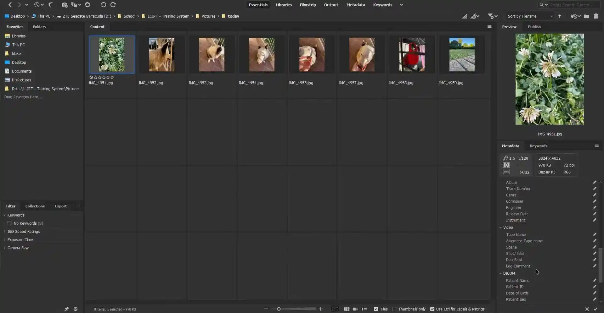 Captura Adobe Bridge 2
